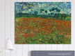Poppy field by Vincent Van Gogh