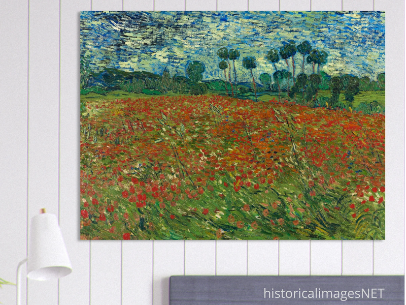 Poppy field by Vincent Van Gogh
