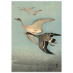 Ohara Koson White fronted geese in flight.