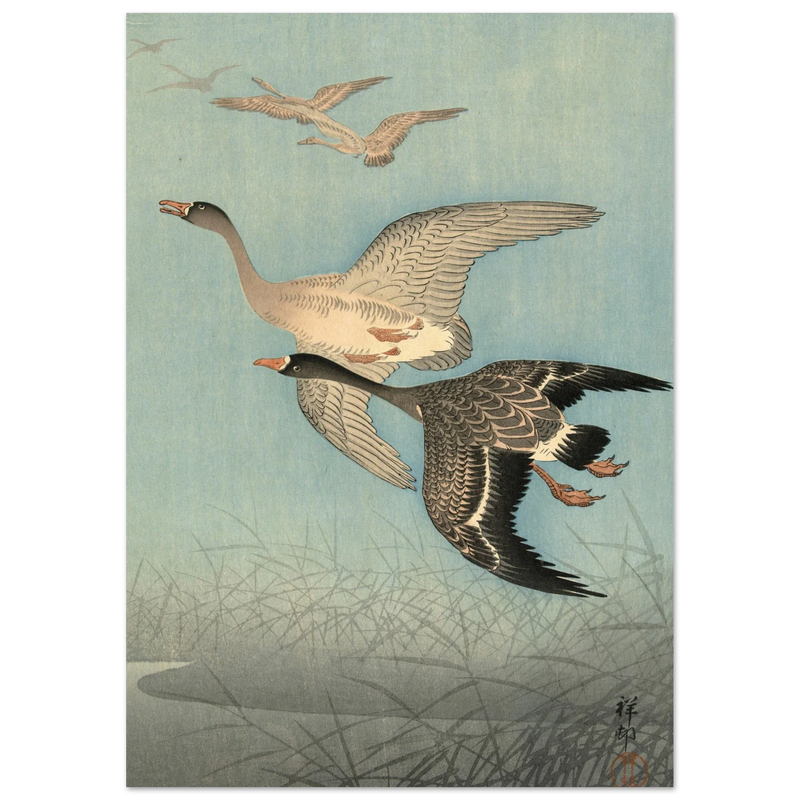 Ohara Koson White fronted geese in flight.