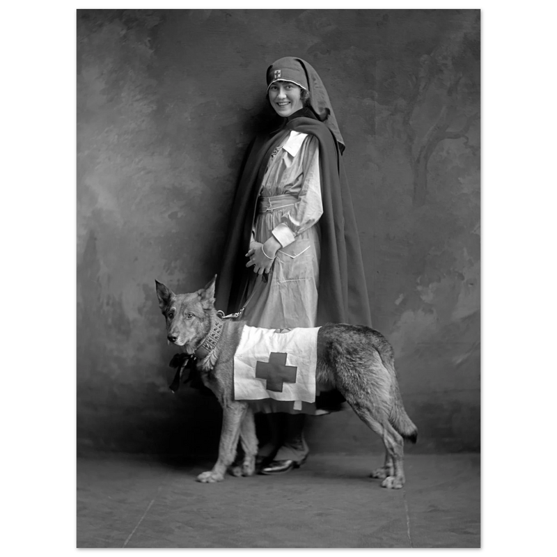 Red Cross nurse with dog poster reproduction by Harris & Ewing 1915-1918