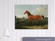 A Bay Horse in a Field by Edmund Bristow old painting 1825.