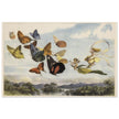 Richard Doyle illustration for Fairyland. The Fairy Queen in her carriage driven by butterflies.