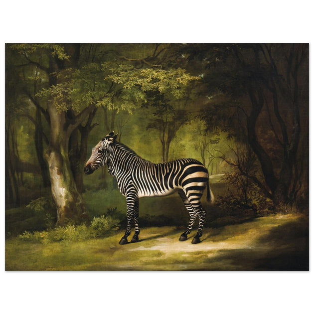 Zebra animal painting by George Stubbs.