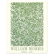 William Morris Willow