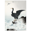 Ohara Koson Red-faced cormorant on rock, woodblock print  art