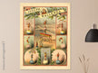 Old vintage circus print reproduction. Joseph Wallenda acrobat.