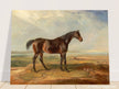 Old painting of brown horse by James Ward 1820.