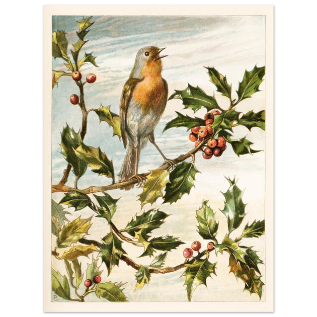 About Robins vintage cute bird illustration by Lady Lindsay.