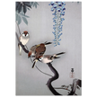Ring sparrows at wisteria by Ohara Koson