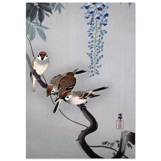 Ring sparrows at wisteria by Ohara Koson