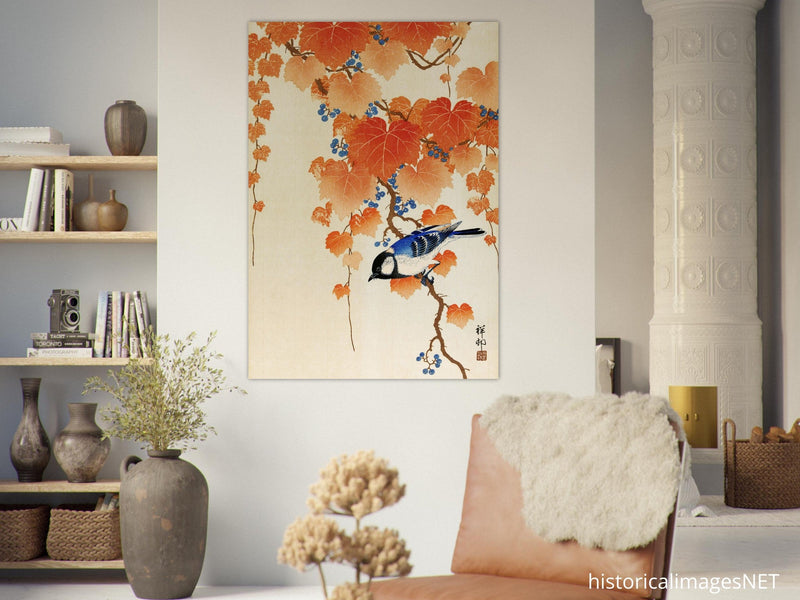 Great tit on paulownia branch by Ohara Koson woodblock print reproduction .