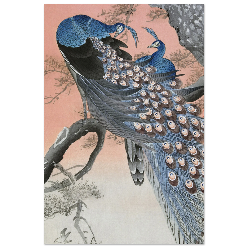 Two peacocks on tree branch by Ohara Koson
