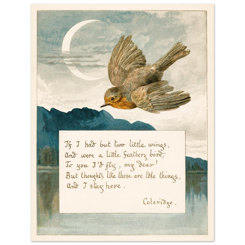 Samuel Taylor Coleridge poem Lady Lindsay About Robins bird illustration