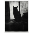 The Cat poster reproduction Author : Cristopher Richard Wynne Nevinson