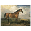 Old painting of a brown horse. Eagle, a Celebrated Stallion by James Ward 1809.
