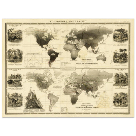 Old map of Gnawing animals distribution 1871 by Alexander Keith Johnston
