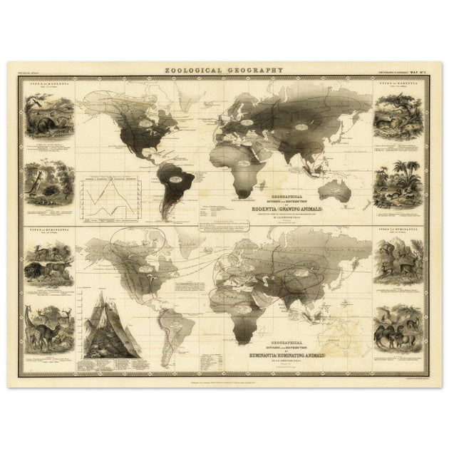 Old map of Gnawing animals distribution 1871 by Alexander Keith Johnston