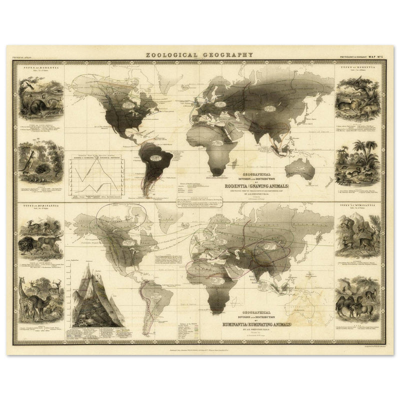 Old map of Gnawing animals distribution 1871 by Alexander Keith Johnston