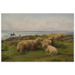 Sheep by the Sea by Rosa Bonheur.
