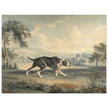 The Spanish Pointer watercolor painting by John Buckler after George Stubbs.