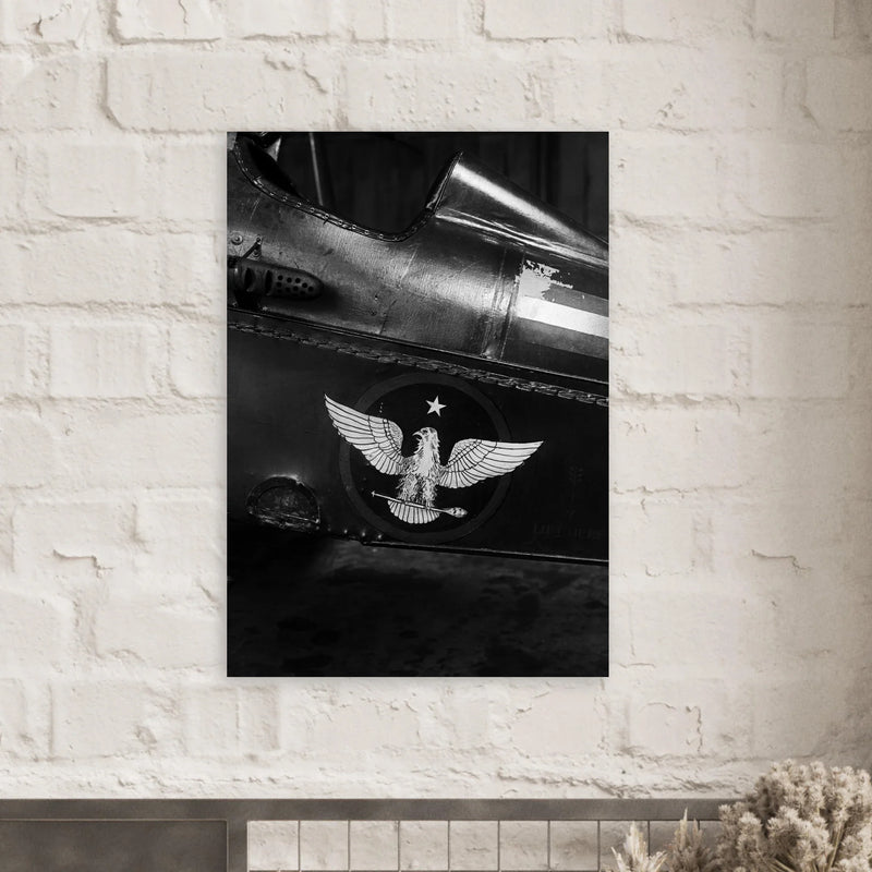 Eagle emblem on airplane Vintage aircraft old photograph reproduction
