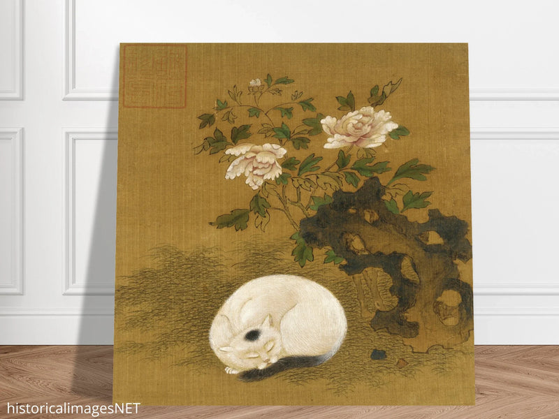 Cat, rock, and peonies
