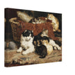 Bonne Mere a cat and her kittens by Charles van der Eycken
