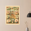 Old vintage circus print reproduction. Joseph Wallenda acrobat.