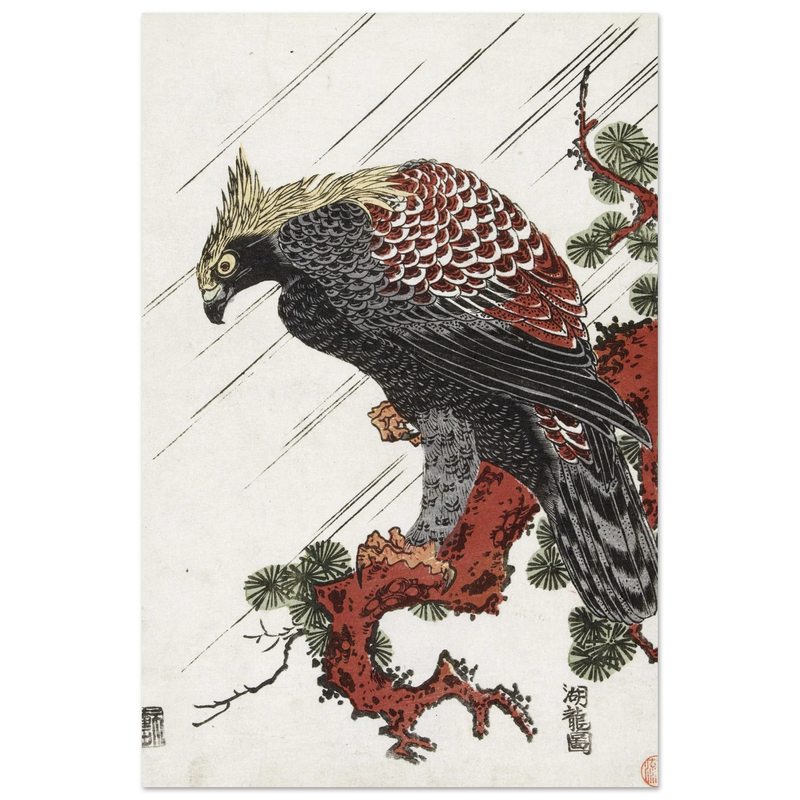 Eagle on pine branch in rain, by Isoda Koryusai