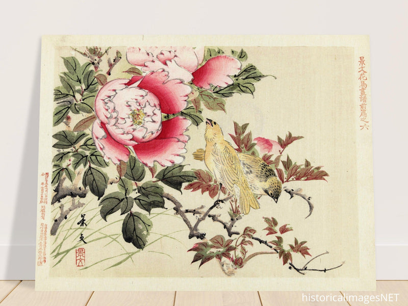Birds and peonies by Matsumura Keibun, 1892.
