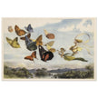 Richard Doyle illustration for Fairyland. The Fairy Queen in her carriage driven by butterflies.