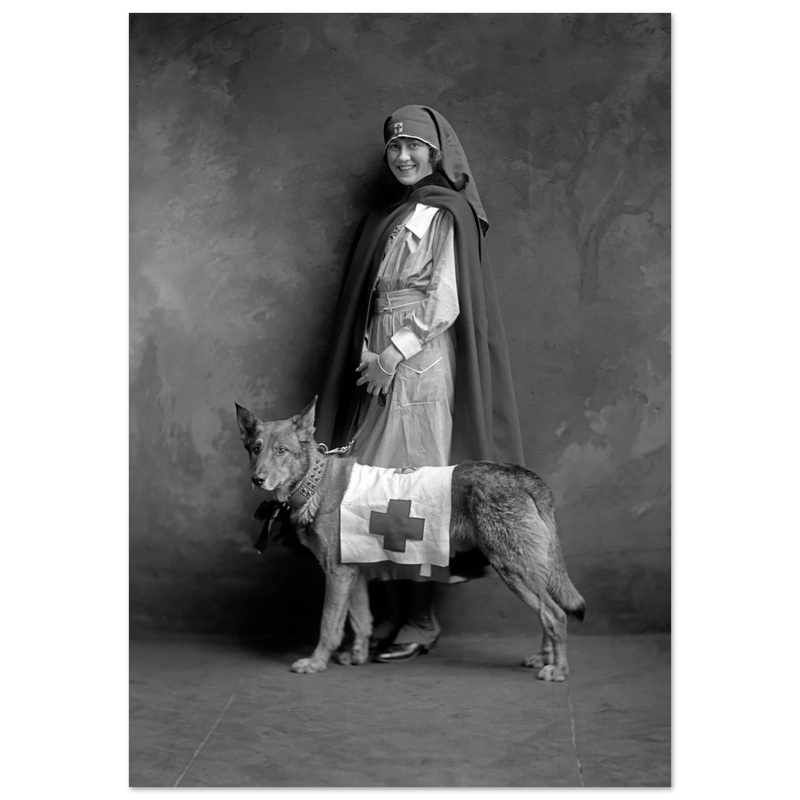 Red Cross nurse with dog poster reproduction by Harris & Ewing 1915-1918