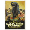 Sally of the Sawdust by D.W Griffith movie poster.