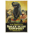 Sally of the Sawdust by D.W Griffith movie poster.