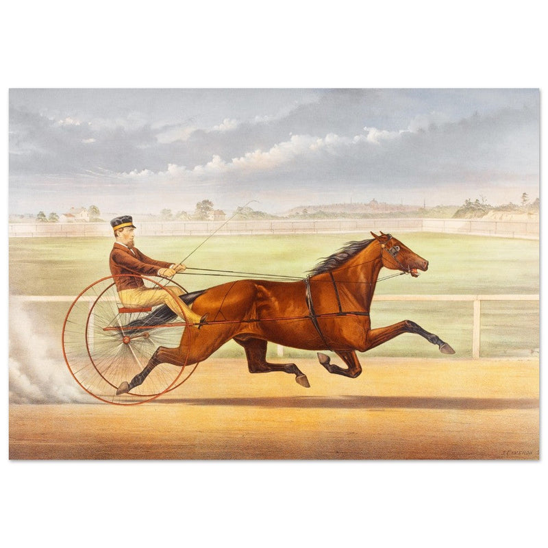 Harness horse racing lithograph. Mr. Bonner's Horse Joe Elliott by John Cameron.