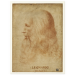Portrait of Leonardo da Vinci by anonimous artist 1510-1530 .