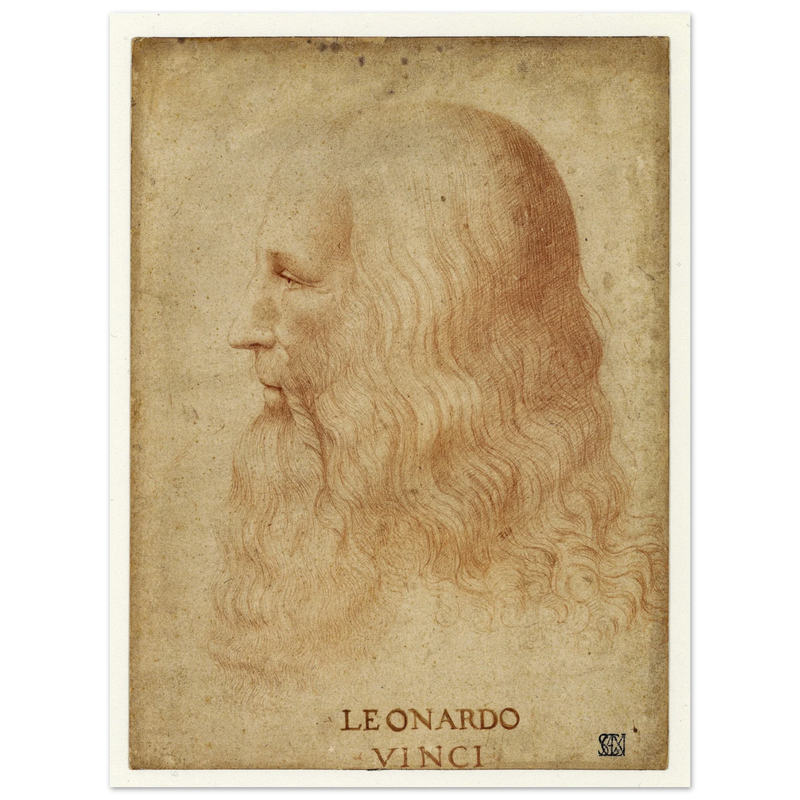 Portrait of Leonardo da Vinci by anonimous artist 1510-1530 .