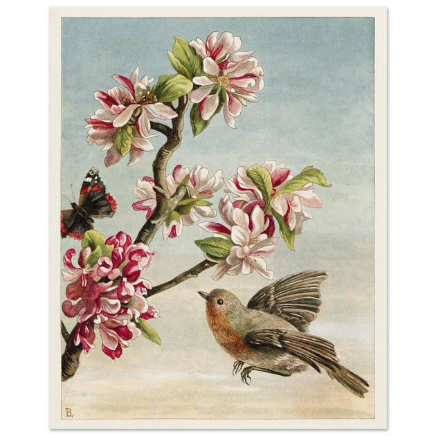 About Robins vintage cute bird illustration by Lady Lindsay