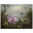 Cattleya Orchid with Two Brazilian Hummingbirds by Martin Johnson Heade