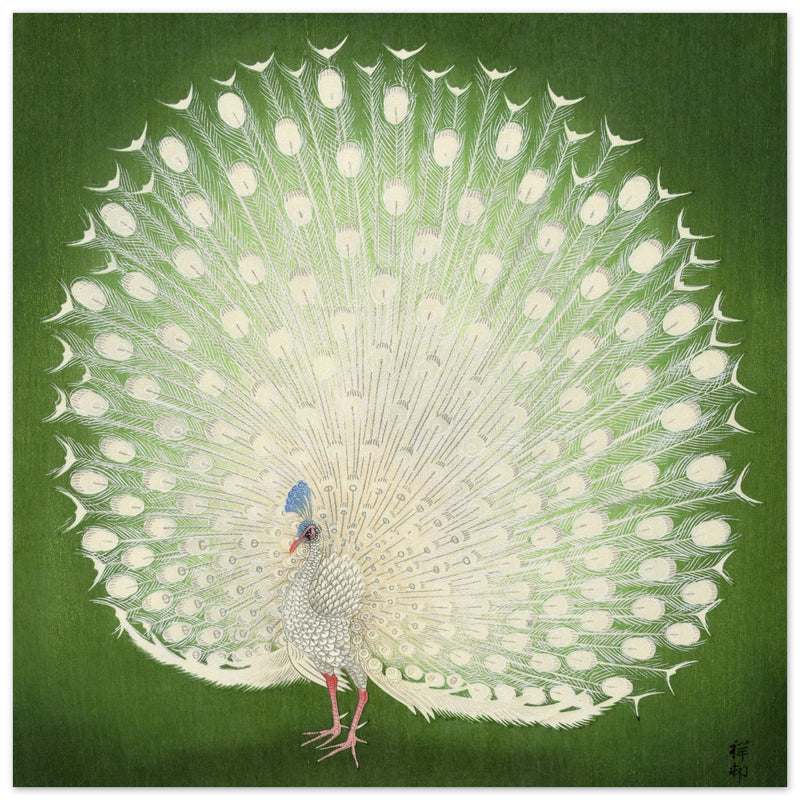 Peacock woodblock print by Ohara Koson