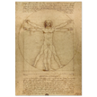 Leonardo da Vinci Vitruvian Man drawing  .