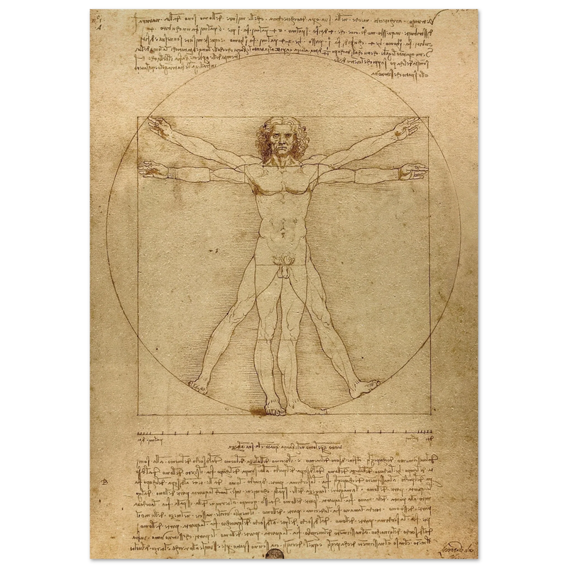 Leonardo da Vinci Vitruvian Man drawing  .