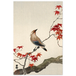 Japanese waxwing on maple by Ohara Koson