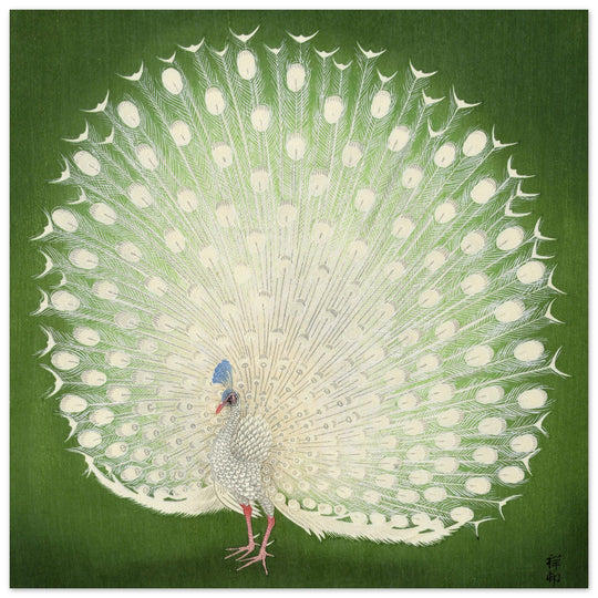 Peacock woodblock print by Ohara Koson