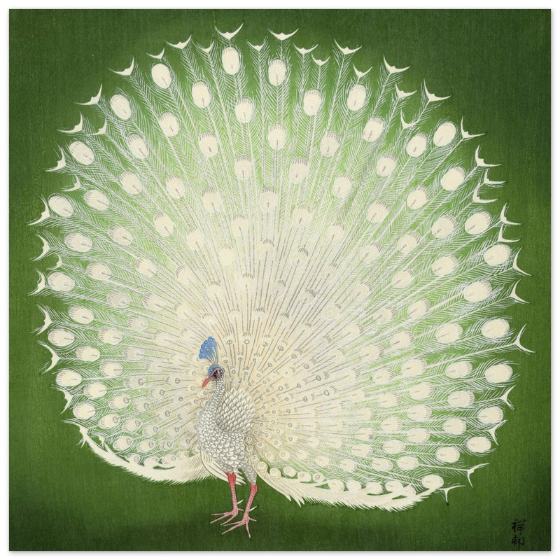Peacock woodblock print by Ohara Koson