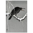 Crow on snowy tree branch by Ohara Koson, ,