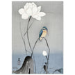 Kingfisher with Lotus Flower by Ohara Koson, ,