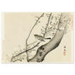 Bird in tree with white blossom by Matsumura Keibun, 1892