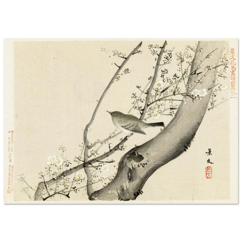 Bird in tree with white blossom by Matsumura Keibun, 1892
